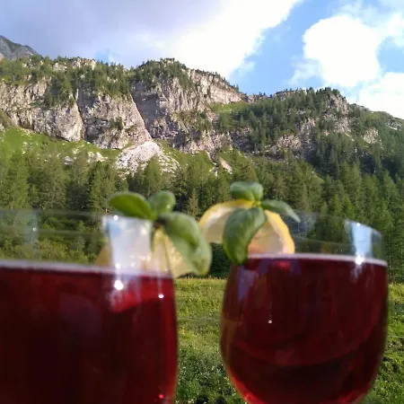 Neuhofalm Mit Sauna Und Hobbyraum Chalet Obertauern